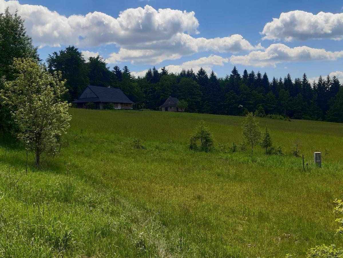 Kuznia Nowica Apartment Uscie Gorlickie Bagian luar foto
